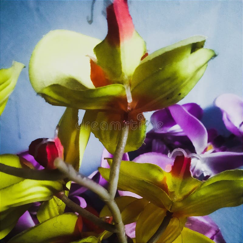 Bright Colored Synthetic Flower Arrangement Stock Image Image of lily, arrangement 263582197