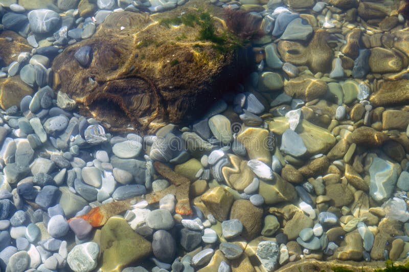 Bright colorful rocks under water