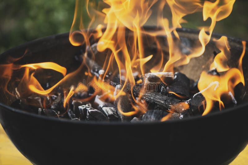 Bright Flame of a Fire in a Brazier with Firewood Stock Image Image