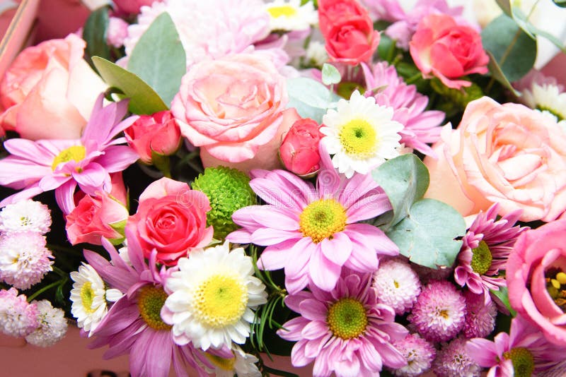 Bright flower bouquet stock photo. Image of beauty, fresh - 20848758