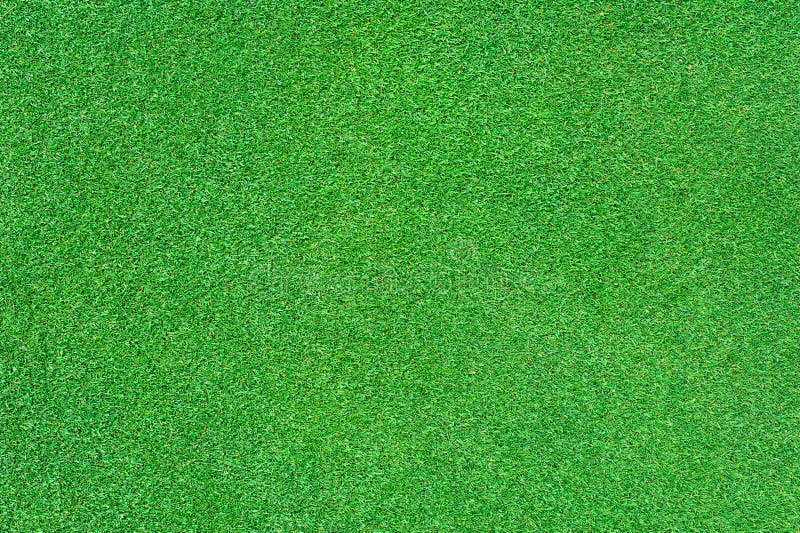 Bright green grass stock image. Image of beautiful, green 25661821