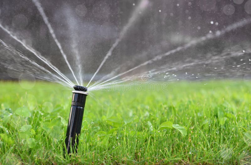 Bright Green Lawn Poured with Fresh Water with a Spray. Automatic Watering the Lawn Stock Photo