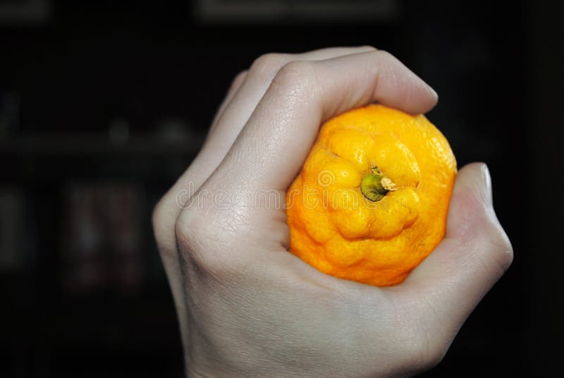 The bright lemon squeezed in a colourless hand royalty free stock photography