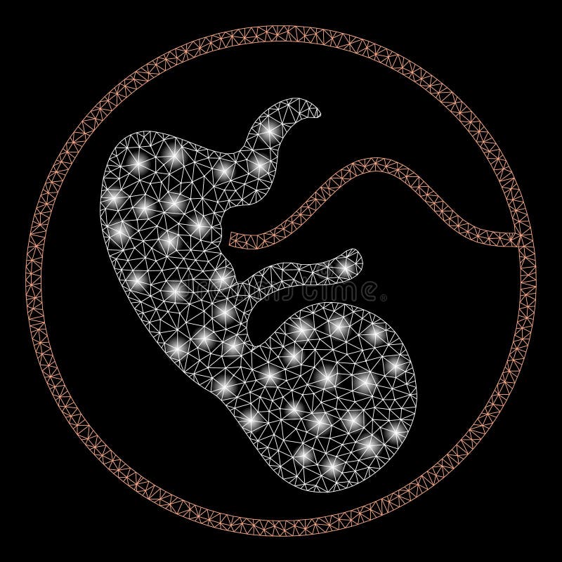 Bright Mesh Carcass Pregnancy with Light Spots royalty free illustration