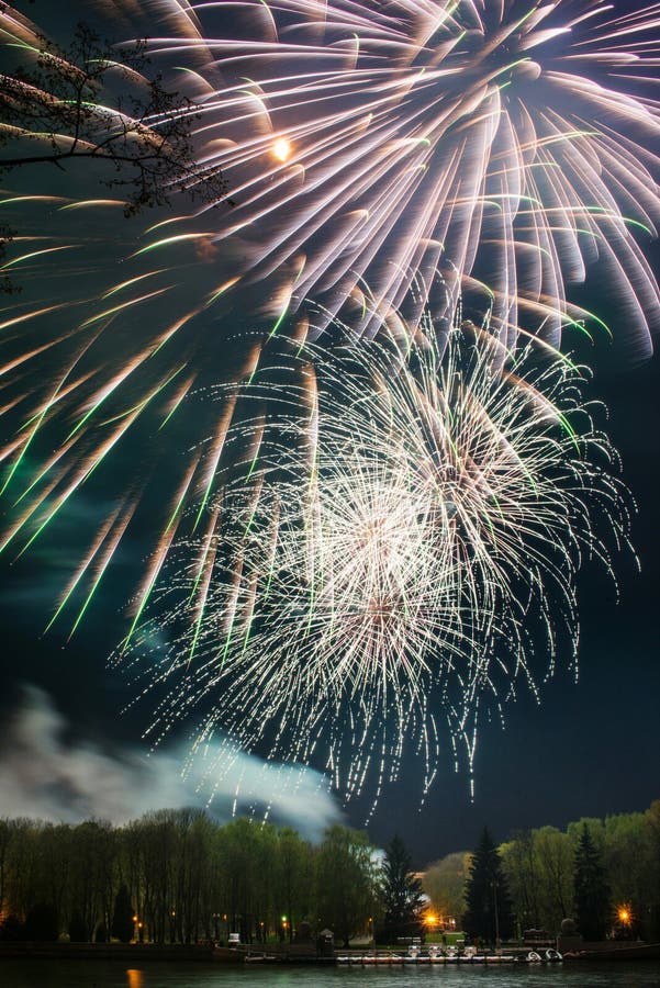 Bright Multicolored Fireworks Lights Stock Image Image of night