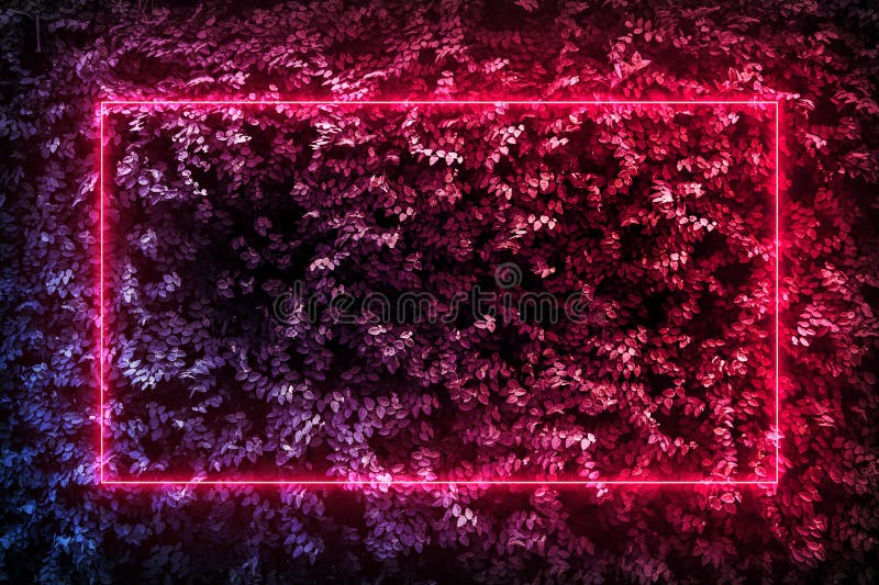 Neon retro background: Hãy cùng lạc vào thế giới của những âm thanh điện tử, ánh sáng neon và những đường cong mềm mại. Những bức ảnh nền Neon Retro sẽ đưa bạn trở lại những kỉ niệm của thập niên 80 với những phong cách đồ họa cổ điển nhưng vẫn rất tuyệt vời.