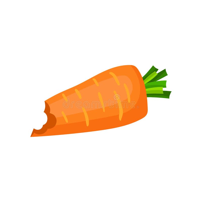 Bright orange bitten carrot. Natural and healthy vegetable. Vegetarian food. Flat vector element for poster or banner