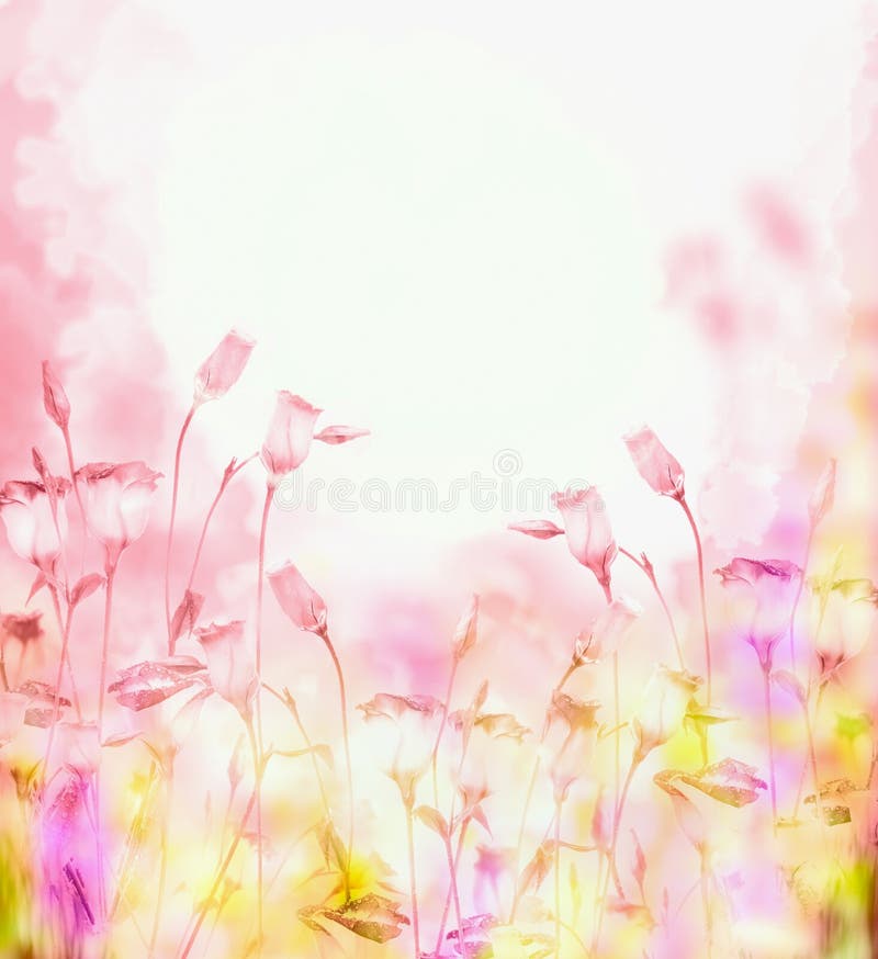 Bright pink background with bells flowers royalty free stock image