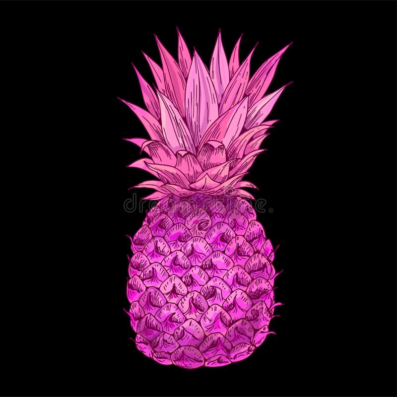 Bright Pink Pineapple on Black Bg, Full Color Stock Vector - Illustration of print, bright: 170332080 Bright Pink Pineapple on Black Bg, Full Color Stock Vector - Illustration of print, bright: 170332080