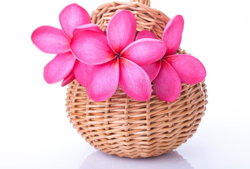 Bright pink plumeria in a rattan basket