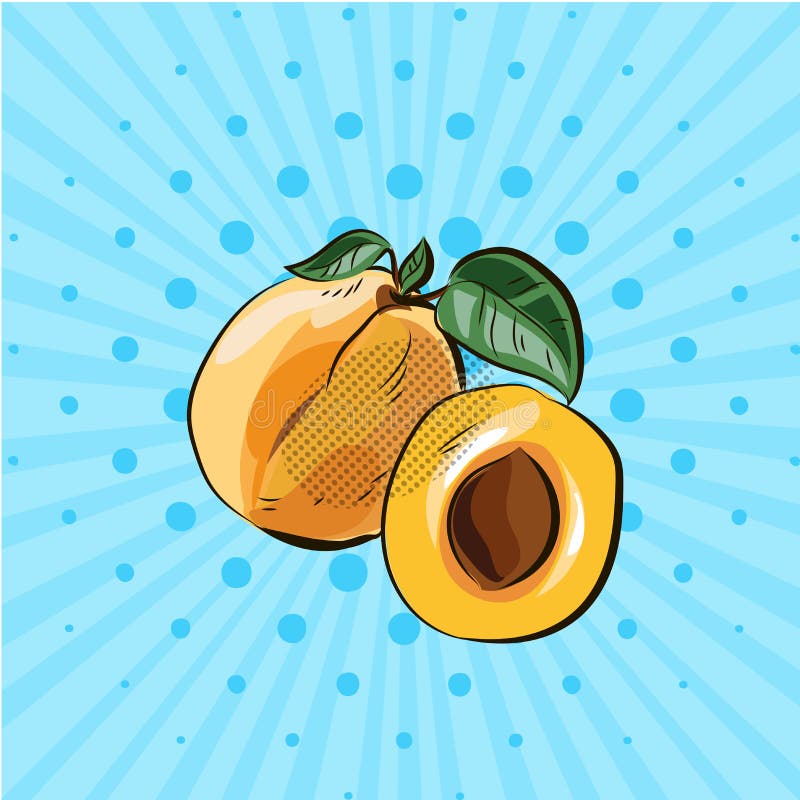 Bright Pop Art with Hand Drawn Peaches and Half with Seed Stock Vector Illustration of nature