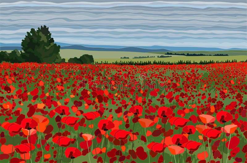 Bright poppy field with bushes, trees and blue sky vector illustration