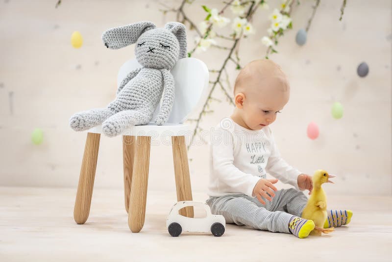 Bright Portrait of a Boy with a Duck Chick. Children`s Love for Animals. Happy easter concept stock photo Bright Portrait of a Boy with a Duck Chick. Children`s Love for Animals. Happy easter concept stock photo