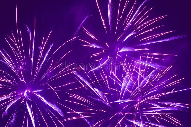 bright purple fireworks in night sky background