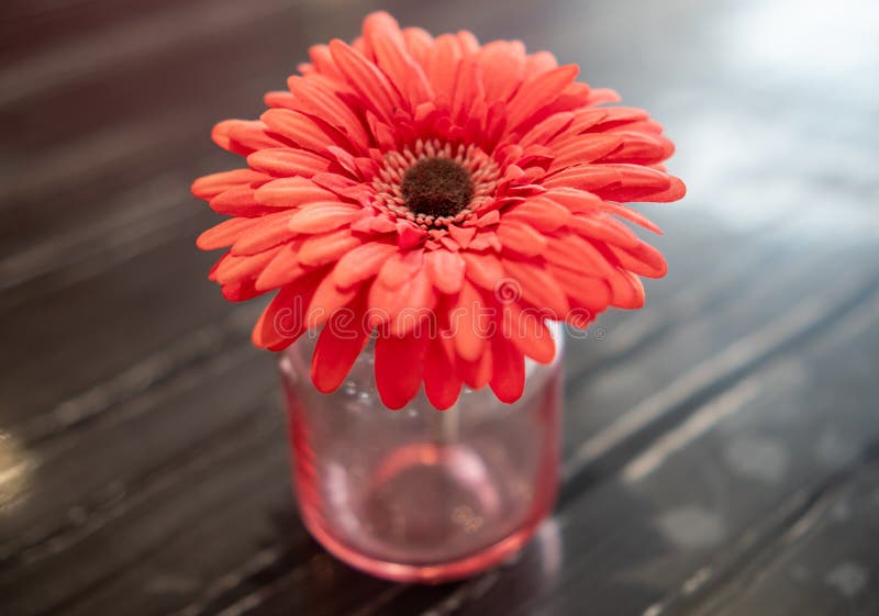 A Bright Red Artificial Flower Stock Image Image of plant, gerber