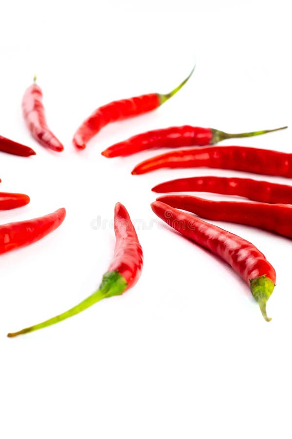 Bright Red Chili Peppers on White Background Isolated Group Stock Photo