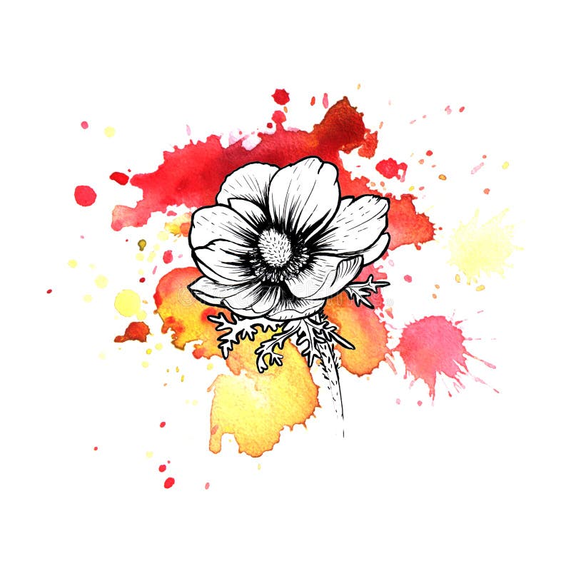 A bright red formless watercolor blot. Poppy ink flower line graphic