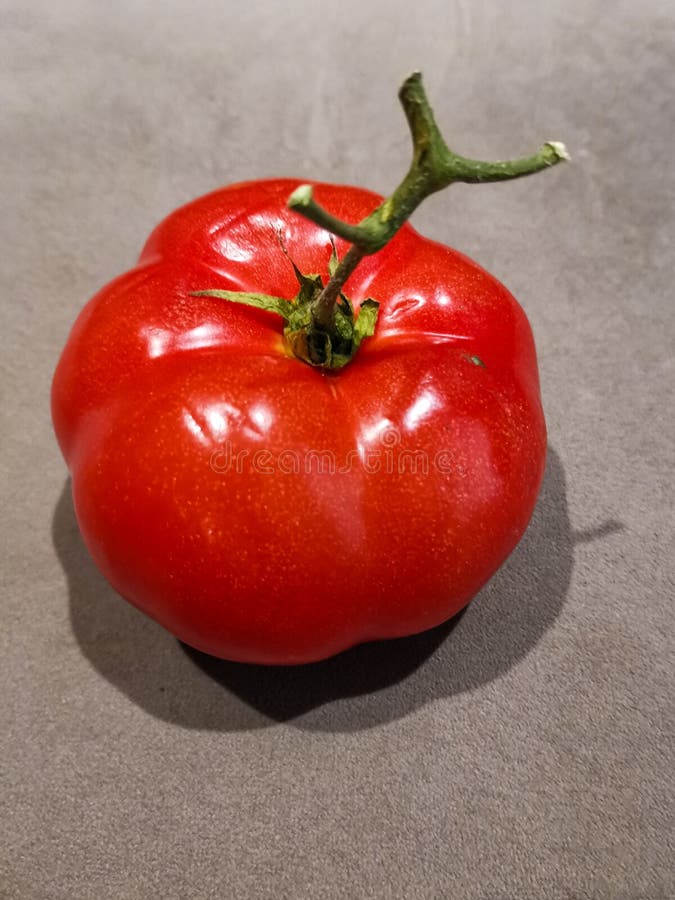 Is Bright Red Tomato a Fruit or Vegetable Stock Image Image of fruit
