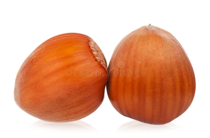 Ripe filberts stock photo. Image of dessert, leaf, hunger 44282752