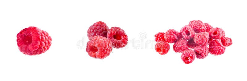 Bright ripe raspberry isolated on white royalty free stock photos
