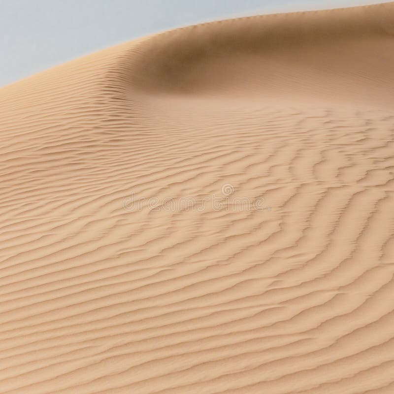 Bright Sand Dunes in a Desert Stock Image Image of sand, natural