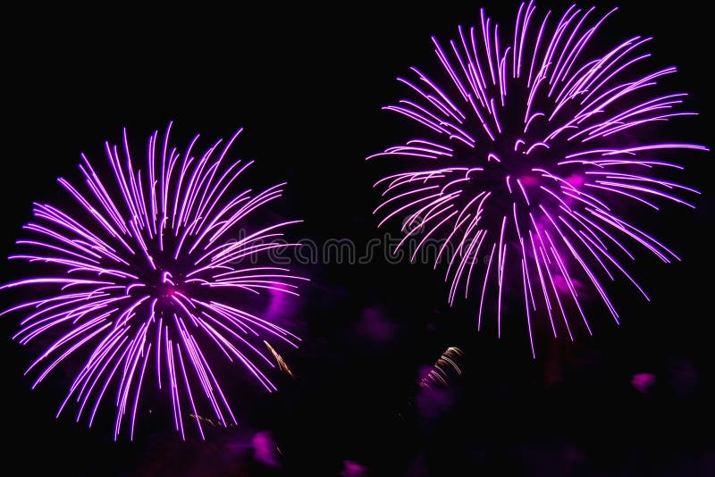 Bright sparkling fireworks purple and gold on the night sky.