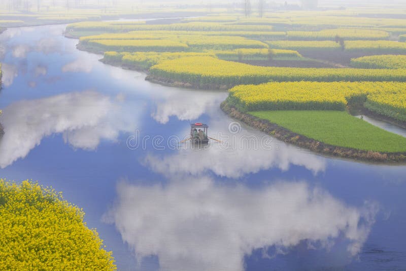 Bright spring, rape flower field landscape, Jiangsu, China