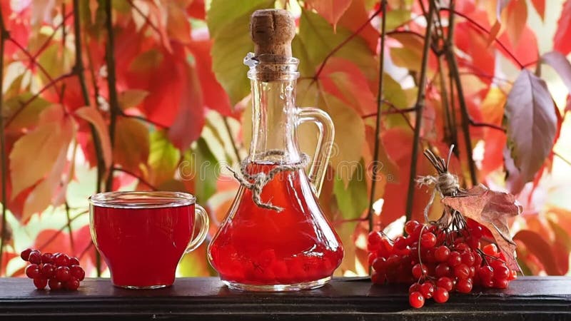 Bright still life with useful seasonal tincture and fruit viburnum. Drink in a glass decanter and a mug