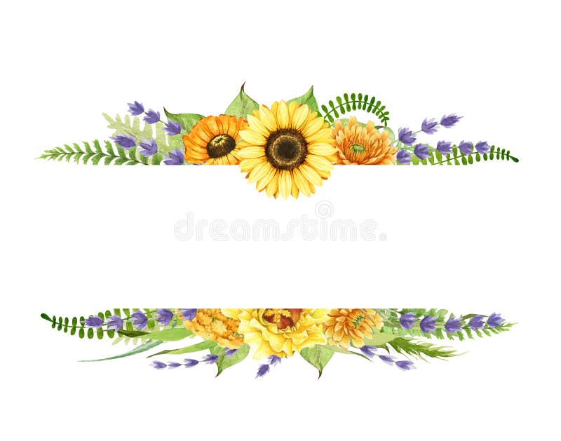 Bright summer flower decorative frame. Watercolor illustration. Hand drawn sunflower, lavender, calendula flowers, fern