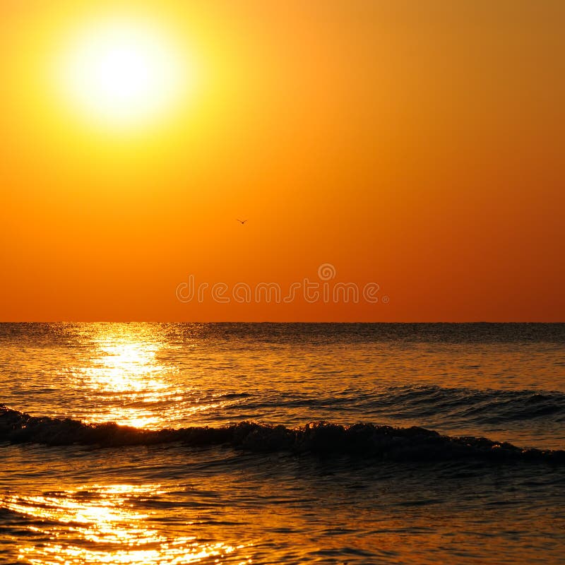 Bright Sunset Over the Ocean Stock Image - Image of horizon, morning ...