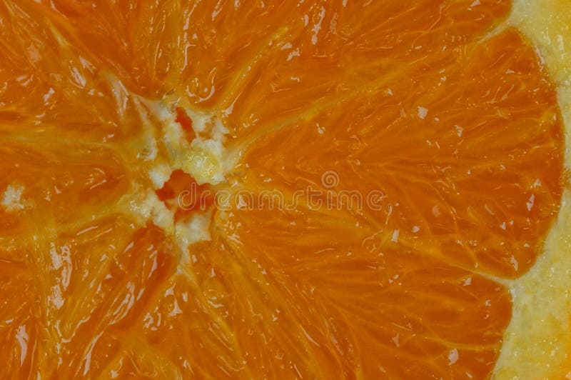 Bright background of a piece of ripe raw orange stock images