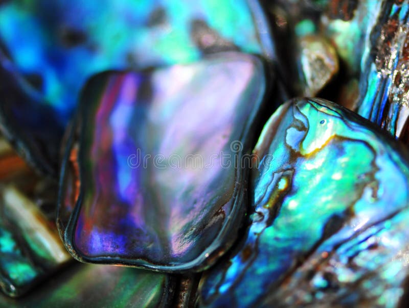 Bright vibrant colorful paua shell background stock photo