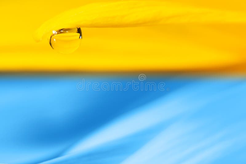 Bright Yellow with a Blue Background with a Drop on the Edge of the