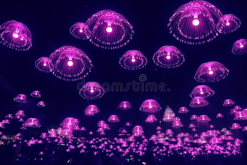 Brilho roxo das luzes das medusa no céu noturno