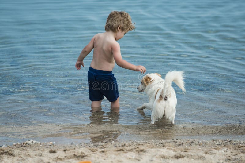 Brincadeira bonito com pouco cão dentro no litoral Suporte do menino na água do mar perto do cão branco Amigos que vão nadar junt foto de stock Brincadeira bonito com pouco cão dentro no litoral Suporte do menino na água do mar perto do cão branco Amigos que vão nadar junt foto de stock