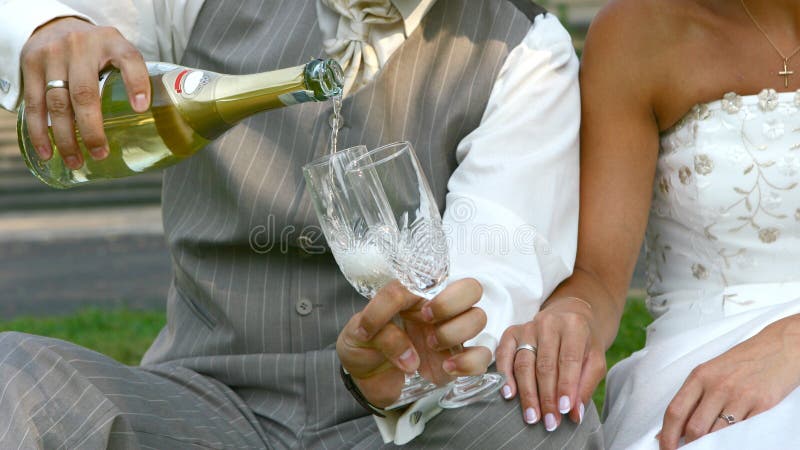 Brinde do casamento foto de stock Brinde do casamento foto de stock