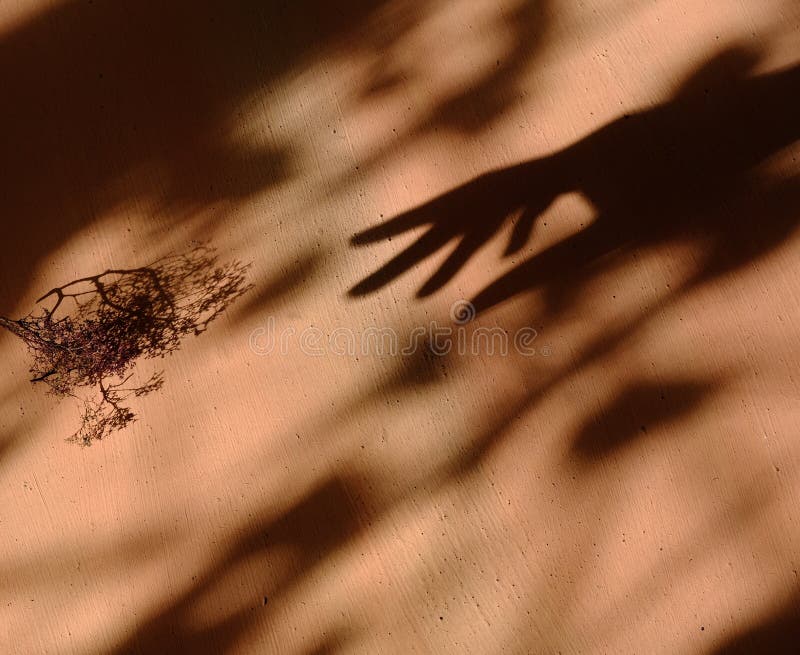 Brindille sèche d'ombre floue et ombre de la main féminine sur fond de mur grunge.