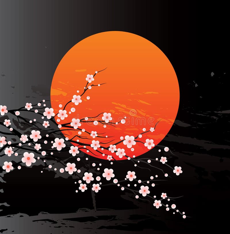 photo stock brindilles de cerise en fleur image