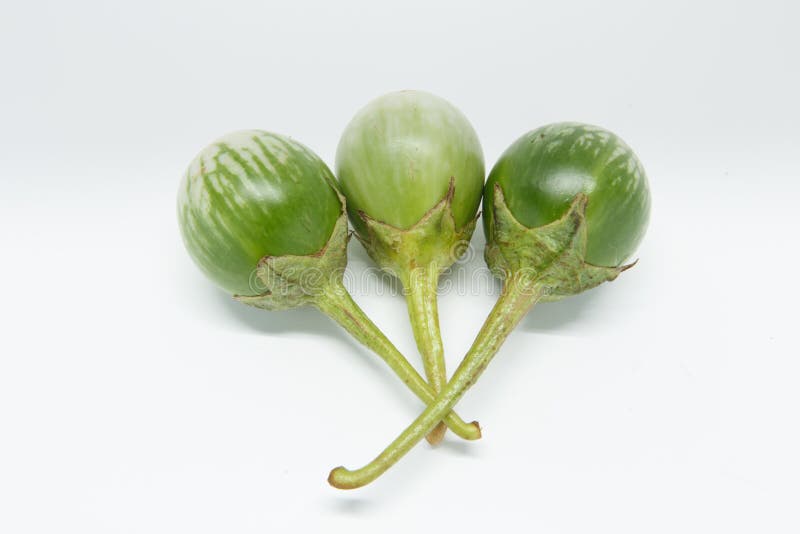 Brinjal zbliżenia szczegółu jedzenia odosobniona sztuka fotografia royalty free