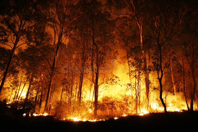 A bushfire burning orange and red at night. A bushfire burning orange and red at night.