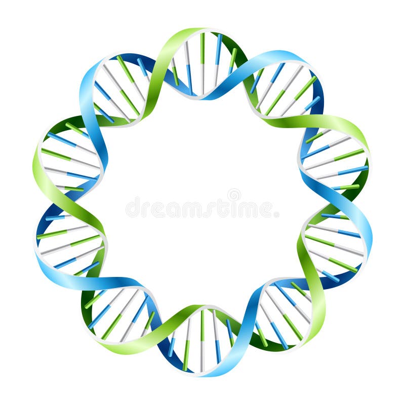 Brins d'ADN sur le cercle. Vecteur.