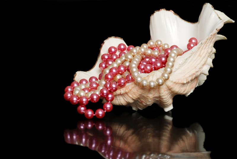 Strands of pearls in a shell on black background. Strands of pearls in a shell on black background