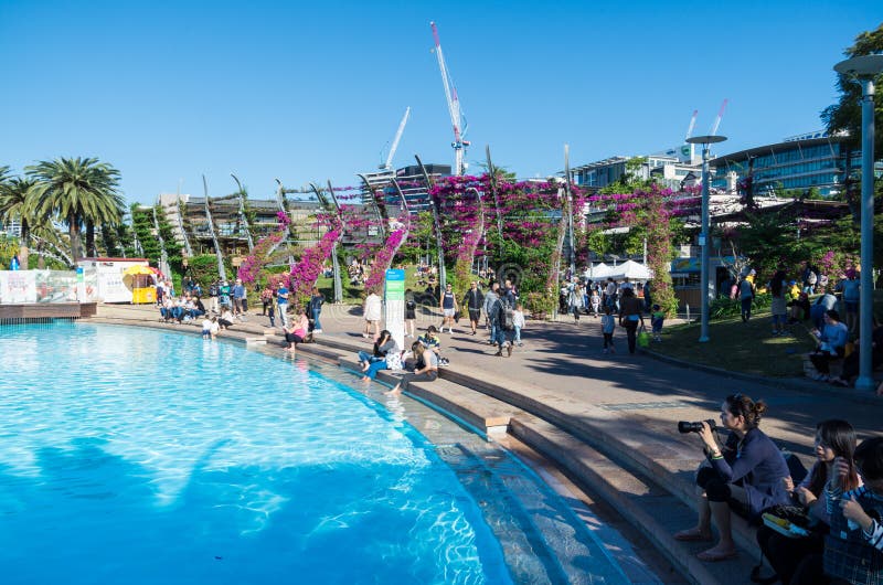 South Bank, Brisbane - 🌴 South Bank Parklands contrasting to Brisbane City  just over the river. Our lush parklands hosts 3 free to use pool spaces,  offering stunning river views of Brisbane