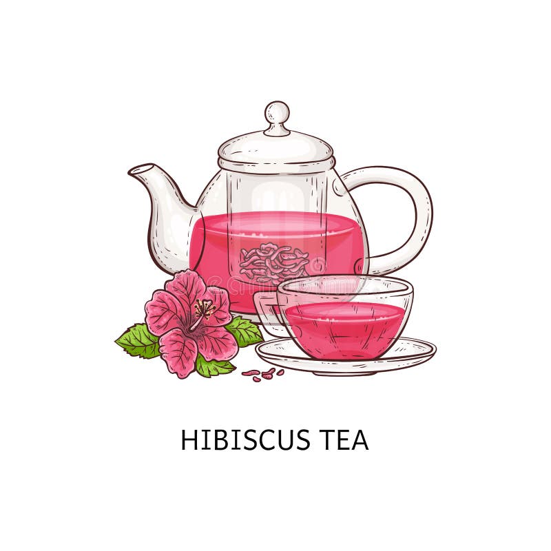 Briscus terosa dryck i glaskopp och teapot isolerat på vit bakgrund vektor illustrationer