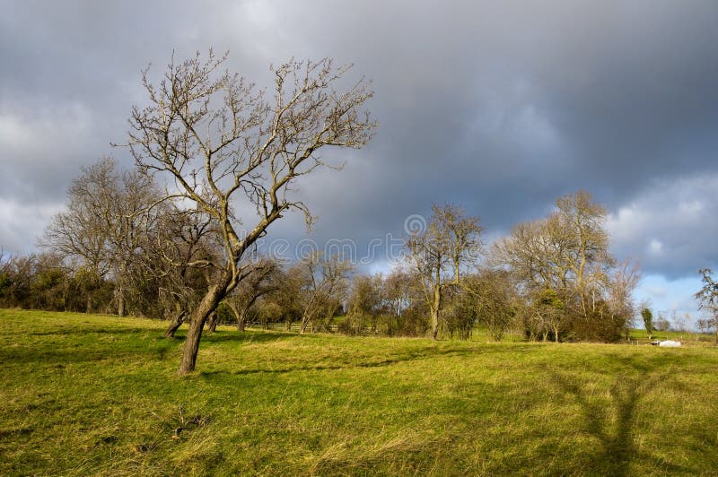 British countryside in winter royalty free stock images