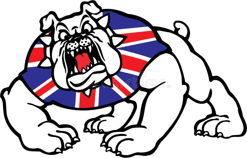 brittisk bulldogg vektor illustrationer brittisk bulldogg vektor illustrationer