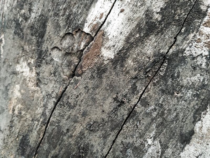 Brittle Stock Photos Download 11,504 Royalty Free Photos