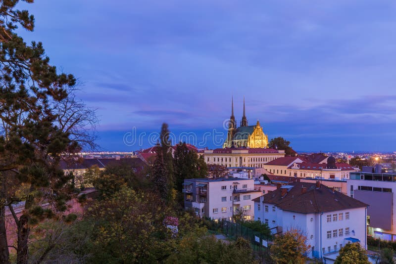 Royalty-vrije stock foto's.