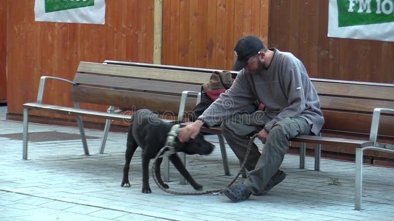 BRNO, REPÚBLICA CHECA, O 1º DE OUTUBRO DE 2015: Assento bebido da emoção homem desabrigado autêntico com cão