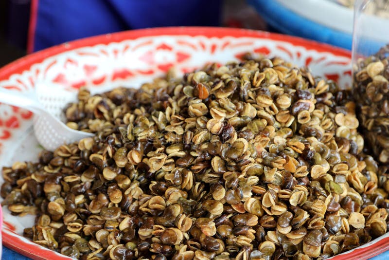 Broad Bean stock image. Image of bean, broad, taste 202554811